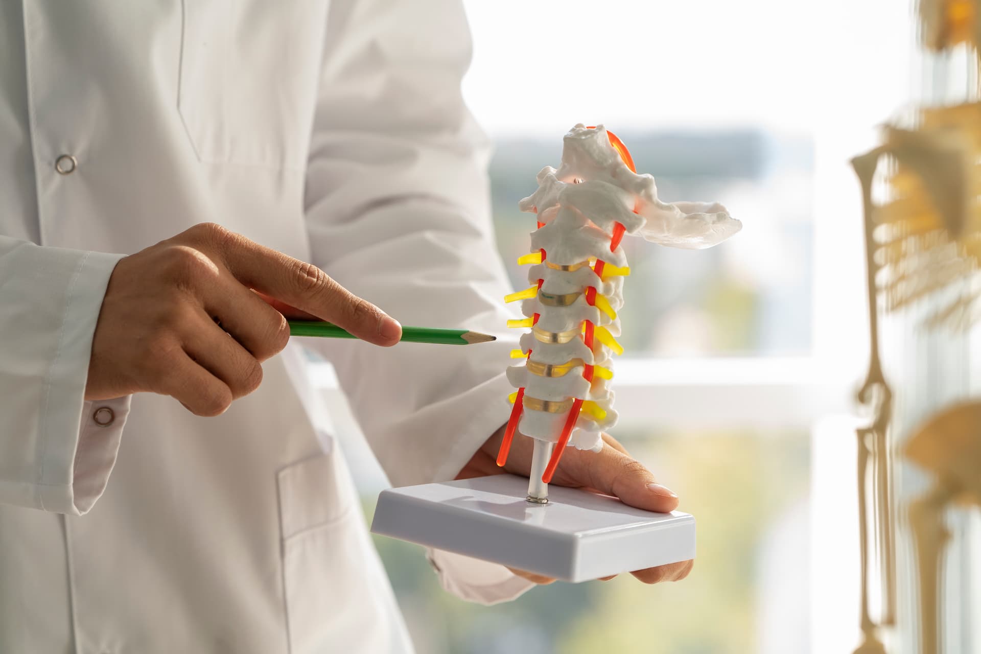 Doctor pointing to spinal model while explaining treatment