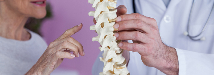 A doctor in a white coat holds a spine model while an older woman points at it, during a medical consultation.